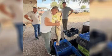 Beyşehir Gölü’nde avlanan balıklar tek tek kontrol edildi