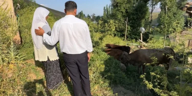 Uçurumdan düşen ineği için gözyaşı döken Ayni teyzeye yardım eli uzatıldı