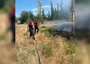 Burdur’da çıkan ot yangınında 2 dönümlük alan zarar gördü
