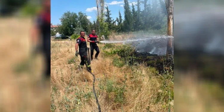 Burdur’da çıkan ot yangınında 2 dönümlük alan zarar gördü