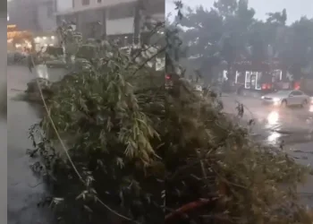 Kars’ta fırtına çatıları uçurdu, ağacı kökünden söktü