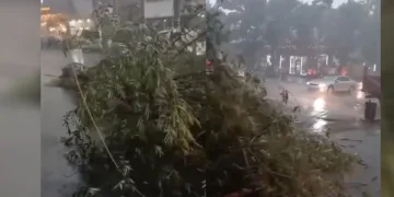 Kars’ta fırtına çatıları uçurdu, ağacı kökünden söktü