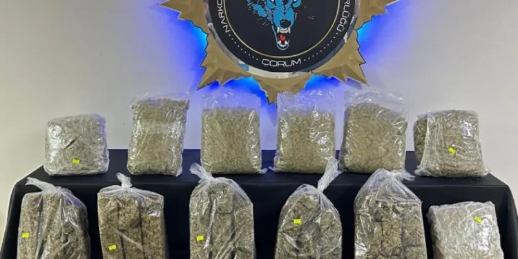 Çorum’da 9 kilo uyuşturucu madde ele geçirildi: 1 tutuklama