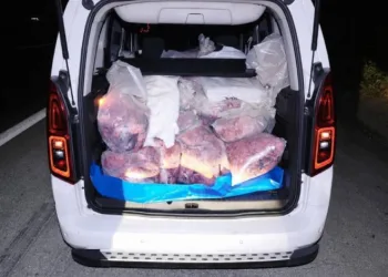 Mersin’de 877 kilogram kaçak sakatat ele geçirildi