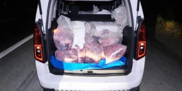 Mersin’de 877 kilogram kaçak sakatat ele geçirildi