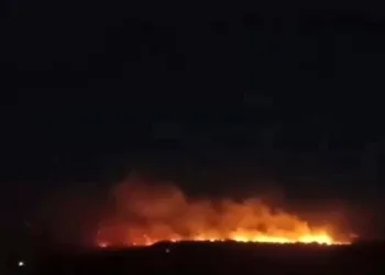 Gaziantep’te orman yangını