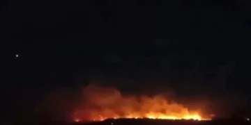 Gaziantep’te orman yangını