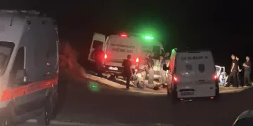 Tartışmaya yardım için yaklaştılar, cinayete kurban gittiler