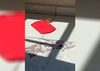 Burdur’da bir vatandaş, balkonuna gelen dev çekirgeye su vererek ilginç anlara imza attı. Çekirgenin kaptan su içtiği anlar cep telefonu kamerasıyla kaydedildi.