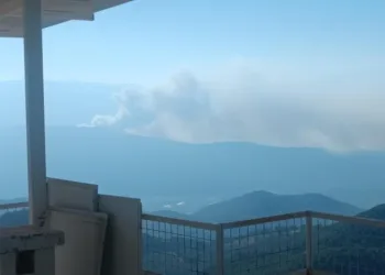 Seydikemer’de orman yangını