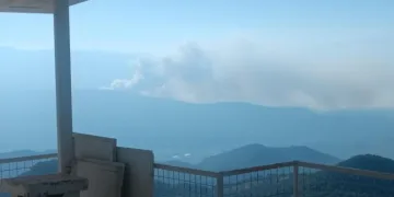 Seydikemer’de orman yangını