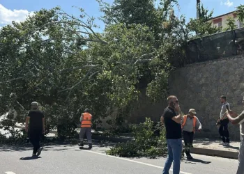 Eskişehir’de devrilen ağaç kara yolunu kısmen trafiğe kapattı
