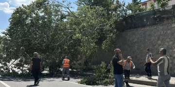 Eskişehir’de devrilen ağaç kara yolunu kısmen trafiğe kapattı