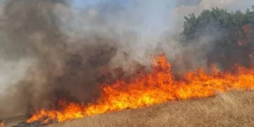 Samsun’da otluk alan yangını: 10 dönüm alan zarar gördü
