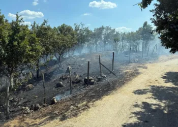 Çanakkale’de tarım arazisinde çıkan yangın kontrol altına alındı