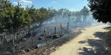 Çanakkale’de tarım arazisinde çıkan yangın kontrol altına alındı
