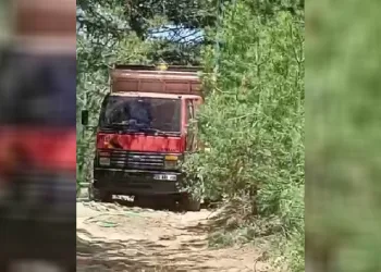 Buldan Alandız’da maden arama çalışmaları başladı