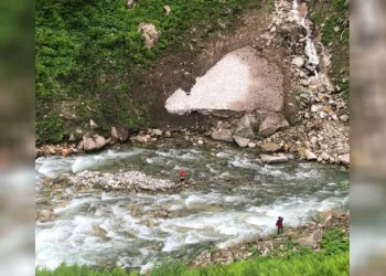 Papağanını kurtardı, kendisi mahsur kaldı
