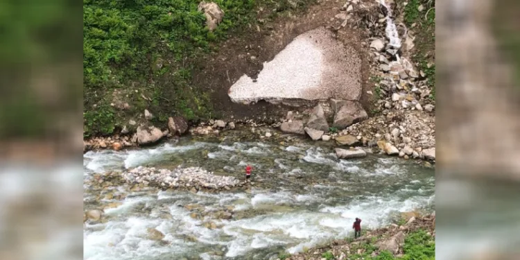 Papağanını kurtardı, kendisi mahsur kaldı