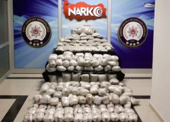 Siirt’te 170 kilogram kubar uyuşturucu madde ele geçirildi: 1 kişi tutuklandı