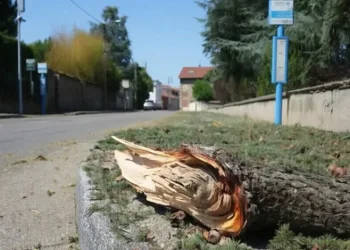 Fransa’da Kasırga: 40 Yaralı, 300 Ev Hasar Gördü