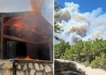 Muğla’da başlayan orman yangını Antalya’ya sıçradı!