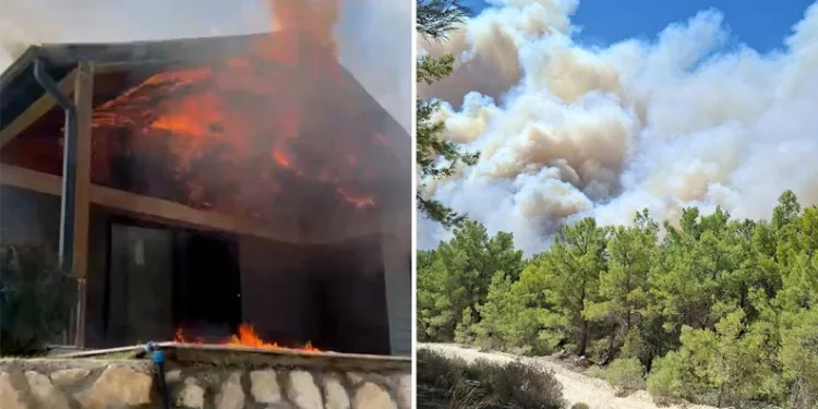 Muğla’da başlayan orman yangını Antalya’ya sıçradı!