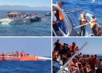 KKTC’de yolcu gemisi battı: Kaptan ve 7 görevli gözaltında