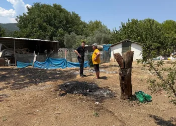 Çekiciye çarpan kamyon hurdaya döndü: 2 yaralı
