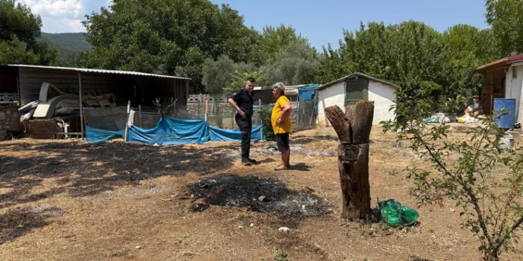 Çekiciye çarpan kamyon hurdaya döndü: 2 yaralı