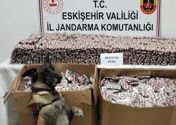 Manisa’da yolcu otobüsü kamyona çarptı: 1 ölü, 7 yaralı