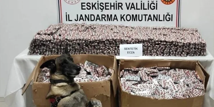 Manisa’da yolcu otobüsü kamyona çarptı: 1 ölü, 7 yaralı
