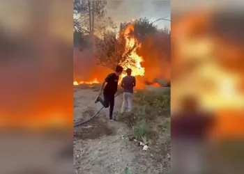 Birecik’te korkutan yangın