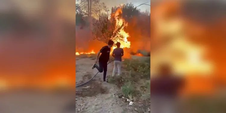 Birecik’te korkutan yangın