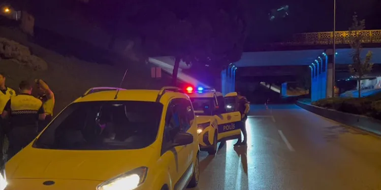 Kırkımcıların yaz sezonunda gelirleri genel müdür maaşını aratmıyor
