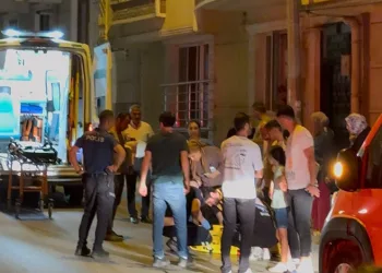 Gülaven şeftalisinin hasadı başladı
