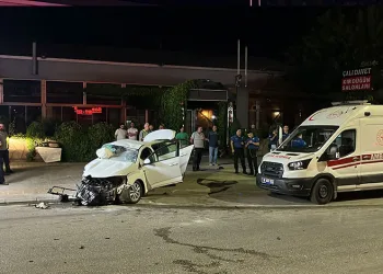 Bursa’da depo ve tarlalık alanda yangın