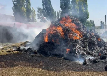 İstanbul’da toplu taşımada yankesicilik yapan şebekeye operasyon