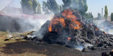 İstanbul’da toplu taşımada yankesicilik yapan şebekeye operasyon
