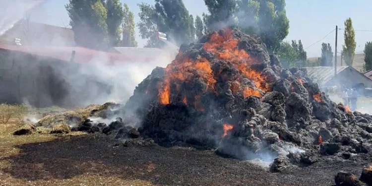 İstanbul’da toplu taşımada yankesicilik yapan şebekeye operasyon