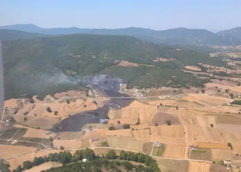 Bursa Yenişehir’de orman yangını! Alevler ormanlık alana sıçradı