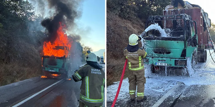 Bursa’da depo ve tarlalık alanda yangın