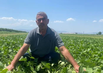 BUSKİ duyurdu! Nilüfer’de iki mahallede su kesintisi
