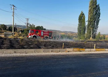 Birecik’te korkutan yangın