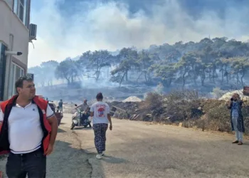 Kazdağları’nda korkutan yangın! Alevlerin yönü Zeytinli’ye döndü