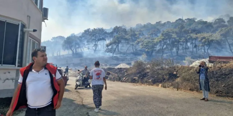 Kazdağları’nda korkutan yangın! Alevlerin yönü Zeytinli’ye döndü