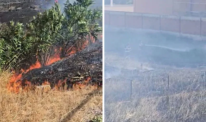 Otoban kenarında çıkan yangın söndürüldü