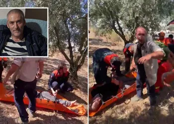 Epilepsi hastası kayıp adam 36 saat sonra zeytinlik alanda bulundu