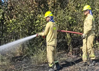 Bursa’da motosikletli Yunus timi kaza yaptı: 2’si polis 4 yaralı