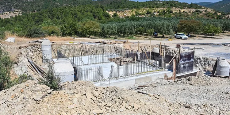BTÜ’den fındık posasını değere dönüştürecek proje